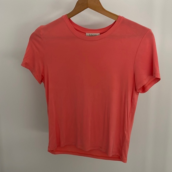 Aritzia Tops - Aritzia Babaton Tshirt
